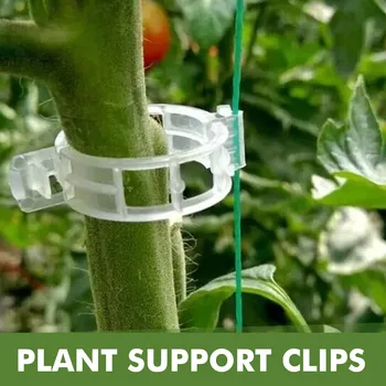 50Pcs Plastiko Augalų Paramos Įrašus Daugkartinio naudojimo Augalų Vynuogių Apsaugos Skiepyti Tvirtinimo Įrankis daržovėms Pomidorų Sodo