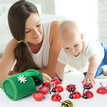 Mielas Montessori Vabalas Žaislai Apvalios Formos Montessori Žaislai, Geros Kokybės, Lengva Nešiotis Skaičiavimo Biedronka Mediniai Švietimo Žaislai