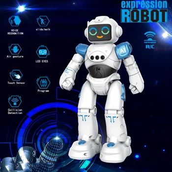 Pažangi RC Robotas Programavimo Nuotolinio Valdymo Robotas Žaislai Biped Humanoidų Robotas Vaikams, Vaikų Gimtadienio Dovana Metu